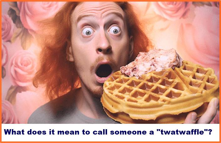 What does it mean to call someone a "twatwaffle"?