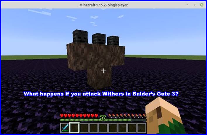 What happens if you attack Withers in Balder’s Gate 3?